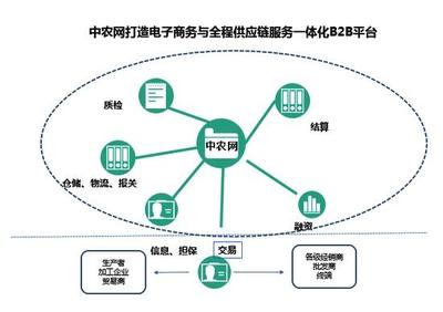 B2B前10强唯一上榜农企 解码中农网供应链管理服务的崛起之路